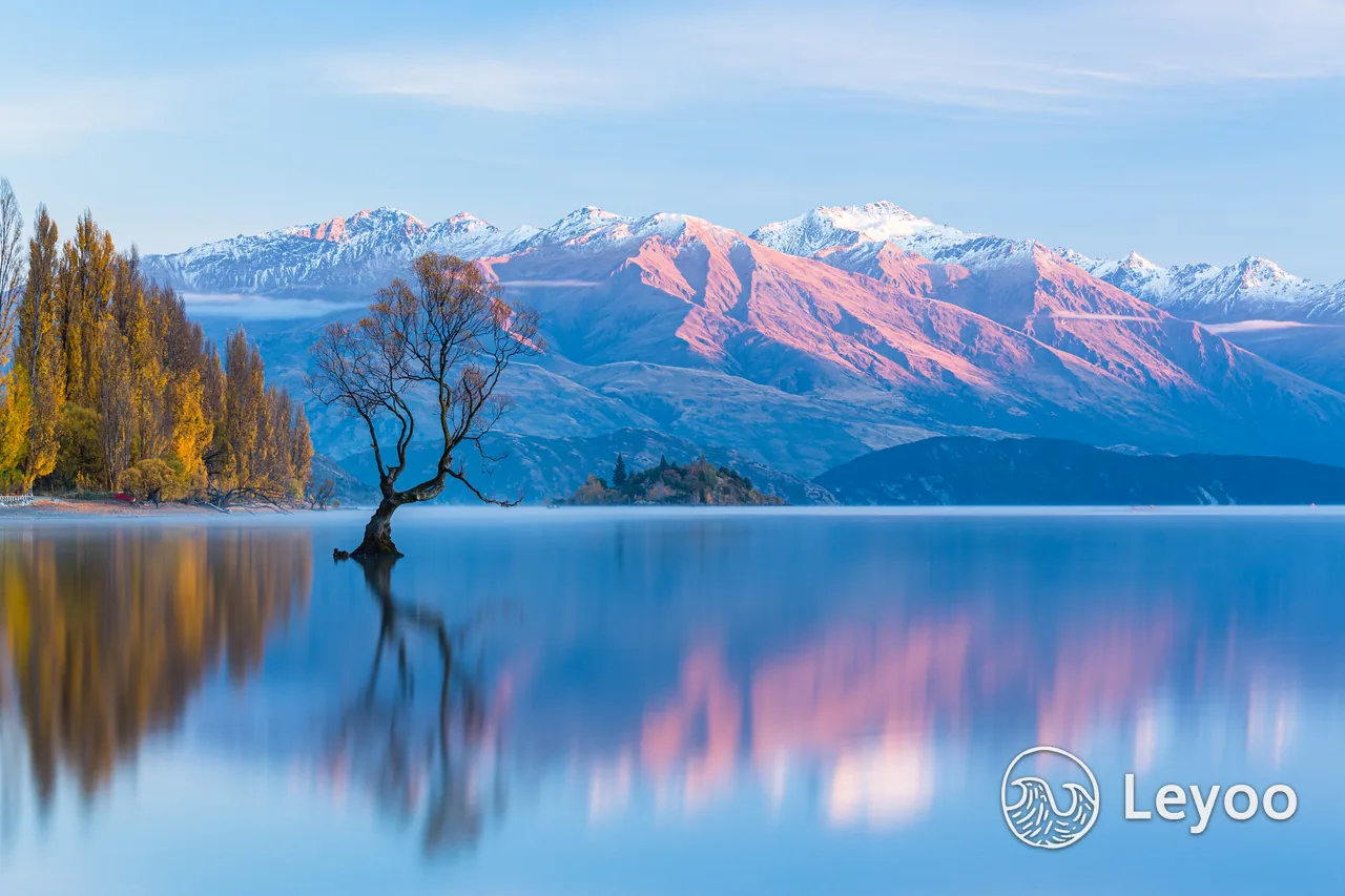 The lone tree in Lake Wanaka, autumn foliage and distant snow-covered mountains